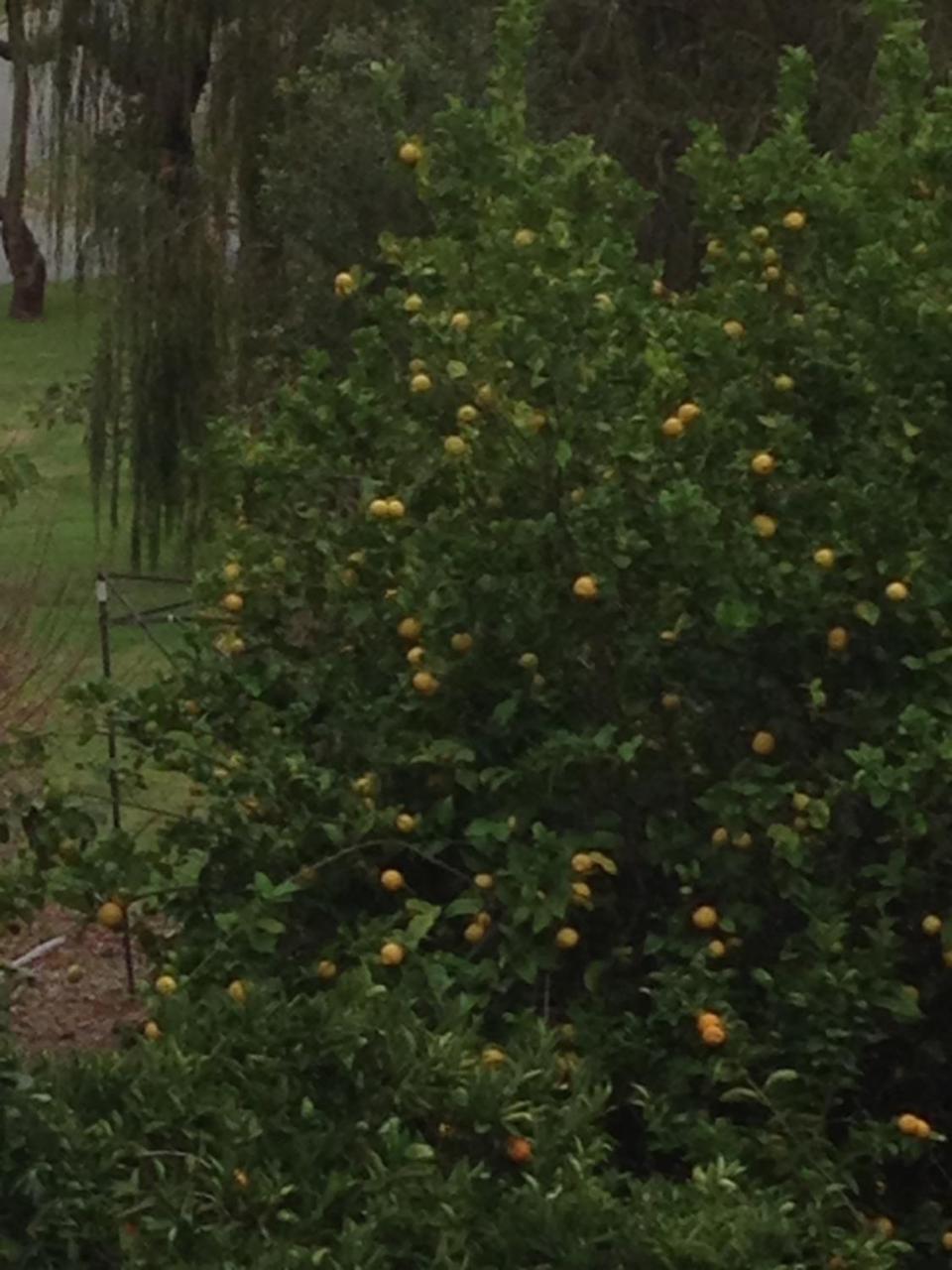 Kelmscott Bright & Beautiful Home On The Hills! מראה חיצוני תמונה